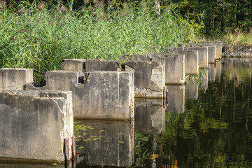 Nature reserve Waterloopbos, Noordoostpolder, Flevoland Province, THe Netherlands