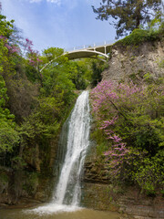 Fototapeta na wymiar Botanic garden in Tbilisi - attraction for tourists