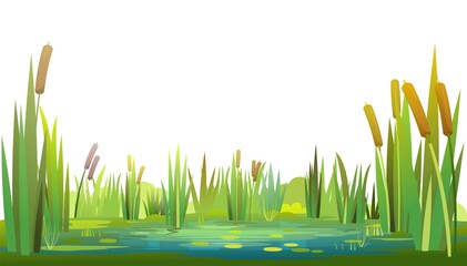 Swamp landscape with reed and cattail. Isolated element. Horizontally composition. Overgrown pond shore. Illustration vector - obrazy, fototapety, plakaty