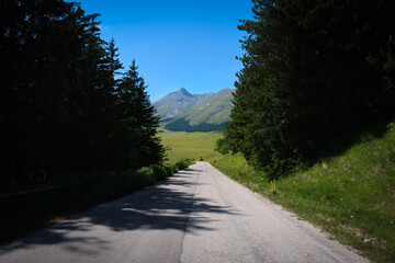tree-lined road of campo imperatore abruzzo