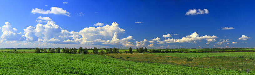 Fototapeta na wymiar High resolution panorama, summer landscape with field and horizon