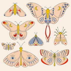 Colorful set of moths and butterflies. Vector illustration © Lidia