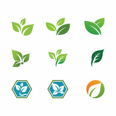 Leaf and Shutter Lens Aperture for Nature Photographer logo design inspiration