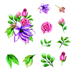 Beautiful spring watercolor purple flower