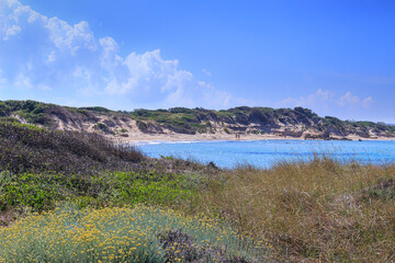 Fototapeta na wymiar Torre Guaceto Nature Reserve in Apulia, Italy: view of the beach and the dunes. Mediterranean maquis: a nature sanctuary between the land and the sea.