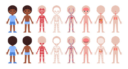 Human Body Systems and Cute Afro Black Boy. Muscular, Skeletal, Circulatory, Nervous, Digestive, Respiratory. Front Back View. Image for Biology, Anatomy Lesson for Children. White background. Vector
