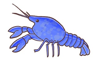 R:もっとメルヘンな水族館☆外来種　ミステリークレイフィッシュ②