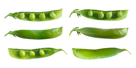 Painting illustration with set, collection of peas from different sides and on cut isolated on white background