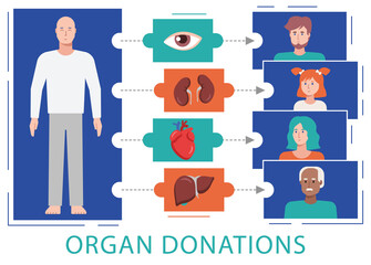 Organ donation flat vector illustration shows a process of organ donation when