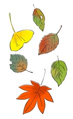 秋の葉　落ち葉