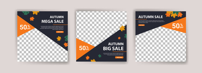 Autumn sale. Autumn big sale. Autumn mega sale. Banner vector for social media ads, web ads, business messages, discount flyers and big sale banners.