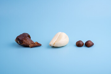 Ripe snake fruit or salak on blue background
