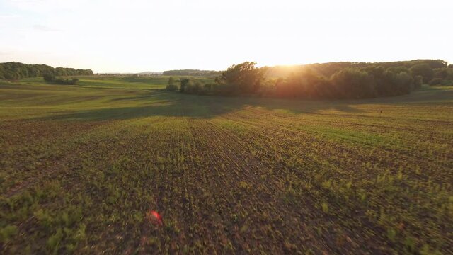Drone FPV flight shot of suberb countryside scenery during beautiful sunset. Natural landscape on agricultural farm. Concept for cultivation, nature and travel.