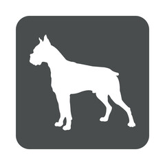 Razas de perro. Silueta de perro boxer en cuadrado de color gris