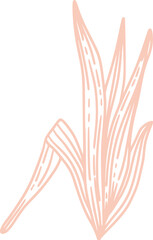 Obraz na płótnie Canvas Vector hand drawn sketchy plant