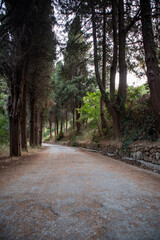 path in the forest Greece