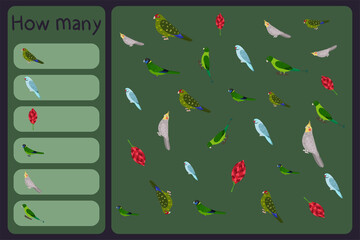 Kids mathematical mini game - count how many parrots and tropical florals - kakariki, rose ringed, australian ringneck, cockatiel, racket tail. Educational games for children. Cartoon design template