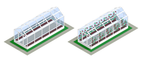 Obraz premium Isometric Greenhouse Growing Icon Set
