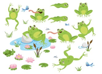 Cute frog cartoon characters vector illustrations set. Drawings of green toads jumping, sitting in pond with lotus, catching dragonflies isolated on white background. Animals, wildlife concept