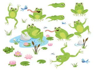 Foto op Canvas Cute frog cartoon characters vector illustrations set. Drawings of green toads jumping, sitting in pond with lotus, catching dragonflies isolated on white background. Animals, wildlife concept © Bro Vector