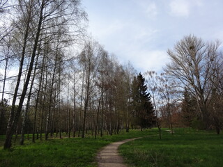 Nature, sun, birds and flowers, summer landscapes, summer, autumn, waterfall, drops on flowers, Ukrainian Carpathians, mountains, plains. hills, fire, stars, canyons, autumn photos