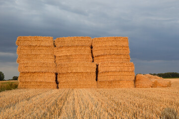 square shaped straw bales in sunlight in harvested wheat field with stormy sky in the background