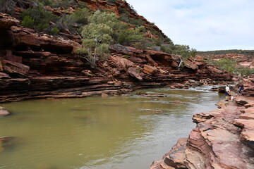 Z Bend River Trail Kalbarri National Park