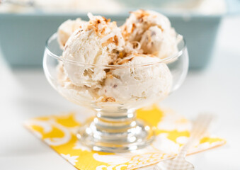 Coconut ice cream