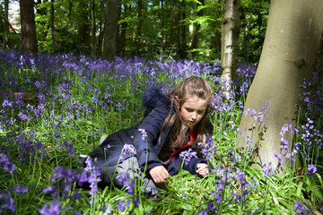 young girl in a bluebell forest, bluebells, blue, bells, forest, wood, pretty, after school, spring, 