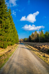 Nice view of a walk way in the forest park Reinhardswald with two walkers far away on a sunny winter day with a blue sky. This woodland area is in the Weser Uplands in the district of Kassel, Germany.