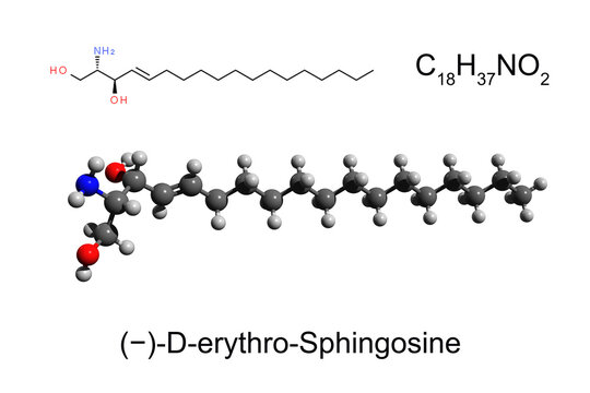 Chemical formula, skeletal formula and 3D ball-and-stick model of (&minus;)-D-erythro-Sphingosine, a primary component of sphingolipids, white background