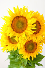 A large bright bouquet of yellow flowers close-up. Sunflowers on a gray background, minimalistic composition.