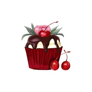 Single maffin or cake with cherries and chocolate cream, pink flower isolated on white. Digital textured painted illustration