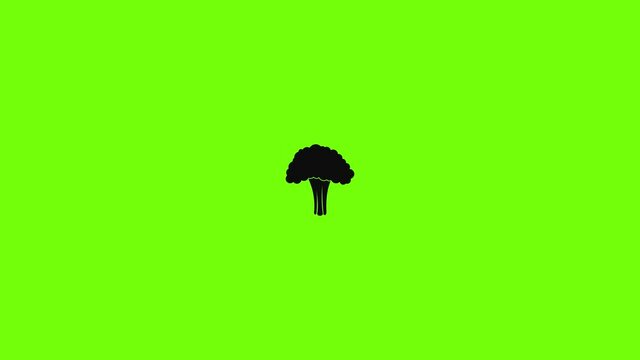 Salad broccoli icon animation