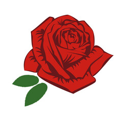 Single Red Beautiful Rose With Green Leaves. Vector illustration.