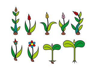 The Sprouts Of Abstract Fancy Plants and Flowers Growing from Seeds - Vector Illustration