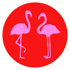 Flamingos. Circle web icon on isolation white background. Cartoon birds
