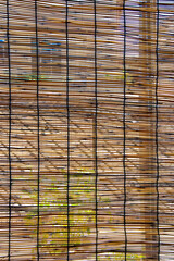 夏の定番　すだれ