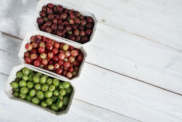 Set of organic gooseberry. Gooseberries fruits in paper baskets. Sweet and juicy berry. Top view.