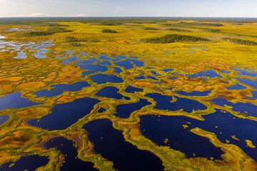 Aerial view of marshlands and forests in Martimoaapa National Park, Finland