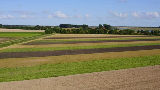 Aerial descending shot of summer fields near the Waterdunes - a nature area and recreational park in the province of Zeeland, The Netherlands