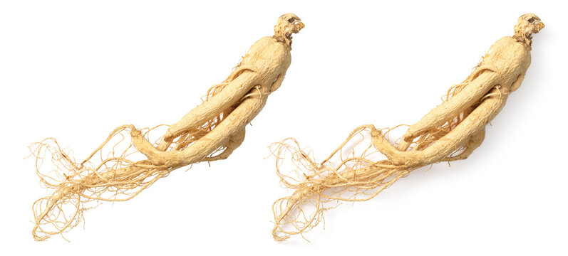 Dried ginseng isolated on white background, top view