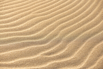 Obraz na płótnie Canvas Wavy sand texture. Sand Dune. Desert in sunny day. Abstract golden background or wallpaper.