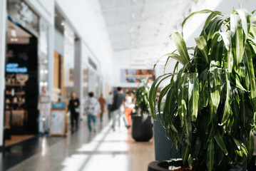 Defocused abstract background of shopping mall with shoppers, selective focus on a large green plant. Blurred backdrop of a commercial space with people, bokeh effect.