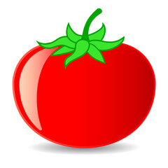 Tomato vector cartoon