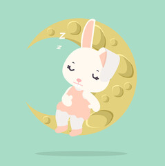 Funny white rabbit sleep with moon