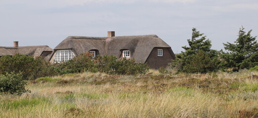 a thatched cottage on the North Sea in Denmark 