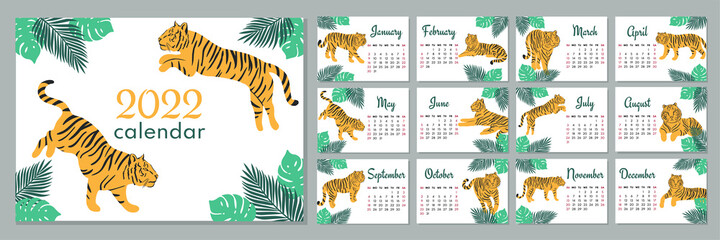 Fototapeta na wymiar 2022 calendar template. Calendar with symbol year, tiger. Week starts on Sunday.