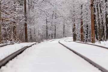 An old tram moving through a winter forest