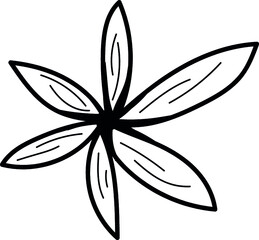 black and white flower